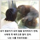 레전드학원 - 청주시 서원구 예체로29번길 17 | 레전드학원