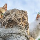 광주선우학교 이미지