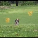 영포농장 이미지