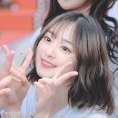 핀아 이미지