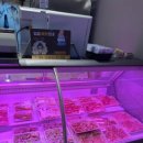 성원식육식당