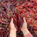 혜주농장 이미지