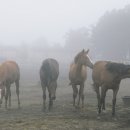 우승목장 이미지