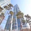 트리마제공인중개사사무소 이미지