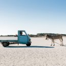 부산국제정비 이미지