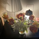 센텀비비의원 이미지