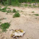 홍천산골놀이터 이미지