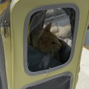 24시 청담우리 동물병원 이미지