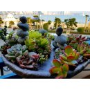 미니정원 이미지