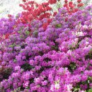 박달재휴양림 이미지