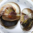 든바다민박 이미지