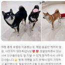 털로덮인친구들 수원시청역점 이미지