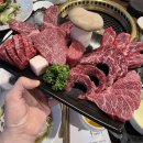 운채소고기세번째이야기 이미지