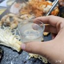 페트코코 | 코스트코 가성비 쇼핑 처음처럼 375ML 페트 주류 후기