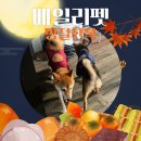 껌딱지펫 | 베일리펫-명절맞이 강아지 한복 구매 후기 (내돈내산)