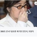 ◆꿩 대신 닭이 되려는 5선의 민주당 국회의원 안민석 이미지