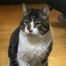 새로나 슈퍼 이미지