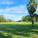 사파이어 골프 이미지