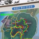 압해도