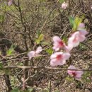 무심농장 이미지