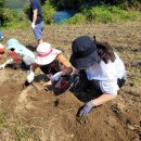 이재혁 농장 이미지