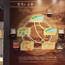 지질박물관 이미지