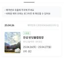 반딧불캠핑장