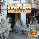 명동호텔 | 서울 명동 가성비 호텔 뉴블랑 호텔 솔직후기