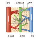 아이지엠 이미지