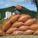 아라리축산 이미지