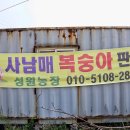 여주-1039 이미지