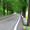 팔덕면사무소 이미지