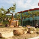 창원단감테마공원 이미지