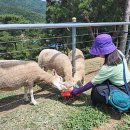 성당한우농장 이미지