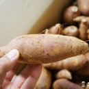 서해5농장 이미지