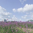 부곡동 돌담해안숲공원 이미지