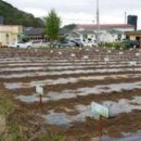 시정농장 이미지