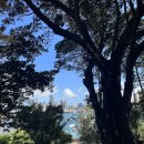 라벤더하우스 이미지