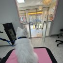 멍키매직 이미지