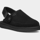 골든스타 이미지