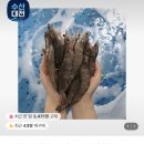 활새우 1kg 30-35미 13,990원 이미지