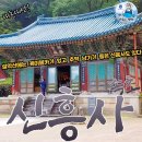 신흥사 | 강원도 속초 설악산사찰 신흥사-수산물전문가 꼼꼼후기