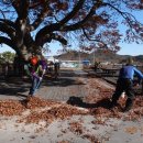 느티나무 일원 이미지