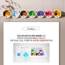 시도푸딩 | 홈카페 디저트 추천｜간식더하기 수제탱글푸딩 7종 솔직 후기 (답례품으로 딱!)