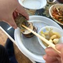 꾸버찌상모점 | [설연휴일상기록] 명절연휴 성묘, 설날 음식 먹부림 일기