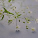 세실리아 요양원 이미지