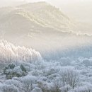 인제관광정보센터 이미지