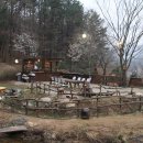 팜스퀘어 하늘타리 이미지