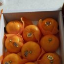 흥진상회 이미지