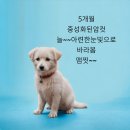 원흥동 390 인근삼거리 | 24. 02. 04 유기동물 등록현황(공고 40마리)